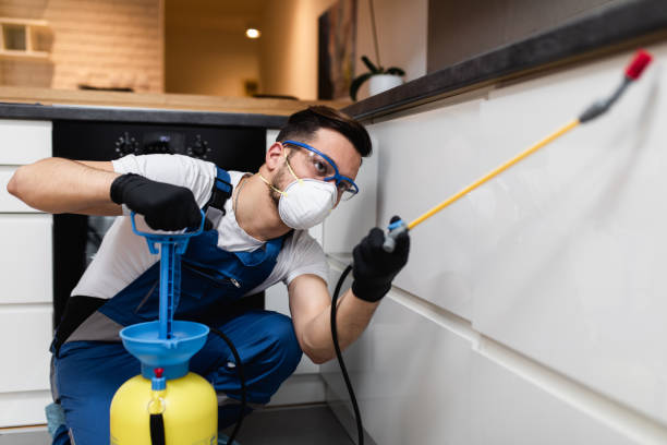 Best Termite Control Services  in Chebanse, IL