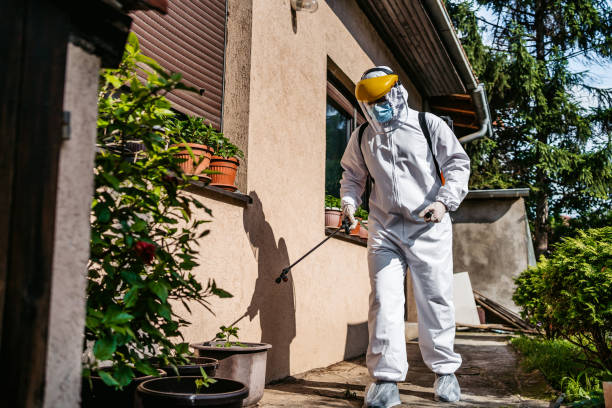 Best Pest Control for Homes  in Chebanse, IL