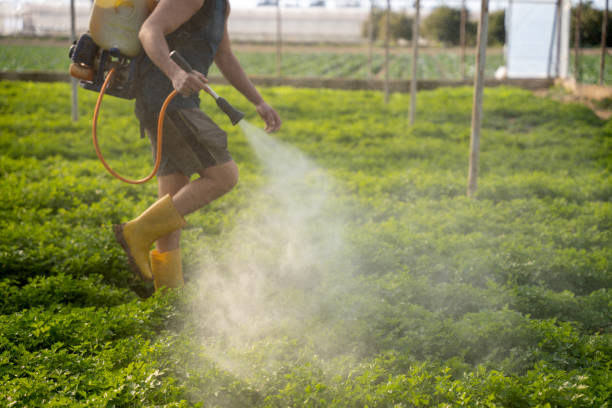 Best Residential Pest Control  in Chebanse, IL