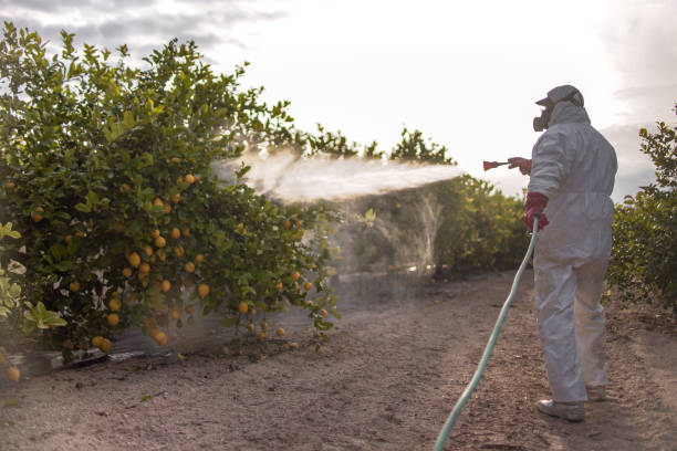 Best Pest Inspection Near Me  in Chebanse, IL