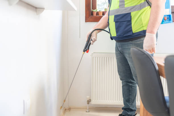 Best Ant Control Services  in Chebanse, IL