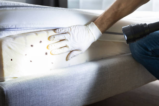 Best Best Pest Control Companies  in Chebanse, IL